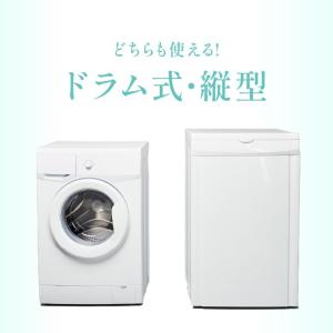 WASHMANIA ウォッシュマニア 洗濯槽ク...の詳細画像3