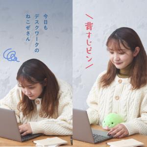 -ドリームズ公式- ふんばるず (Regula...の詳細画像3