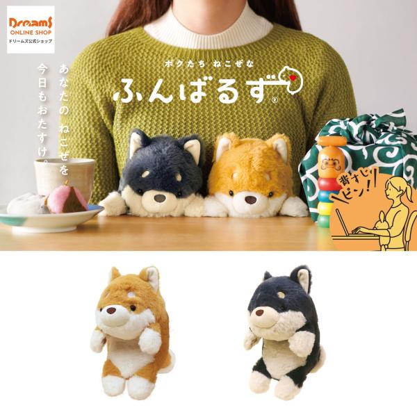 -ドリームズ公式- ふんばるず (Regular) シバイヌ / クロシバ  姿勢 猫背 サポート ...