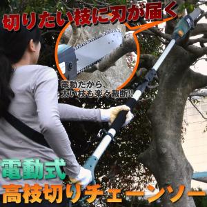 高枝切り電動チェーンソー 高枝のこぎり 電動チェンソー