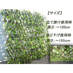 グリーンカーテン 緑のカーテン 日よけ リーフラ...の商品画像