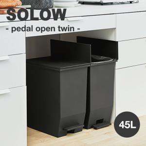 ゴミ箱 ダストボックス トラッシュボックス スライドペール 45L 45リットル SOLOW ソロウ 大容量 抗菌 インテリア 雑貨 ホワイト ブラック RSD-78BK/WH OTTD｜drescco