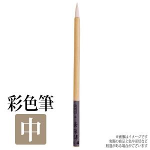 筆 ふで 絵筆 色彩筆 中 画材 美術 絵画 趣味 学校 授業 アート アーテック 10741