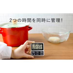 ダブルタイマー 2連式 防滴 IPX2 オート...の詳細画像1