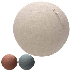 スケーター バランス ボール 55cm カバー 付き 体幹 ストレッチ
