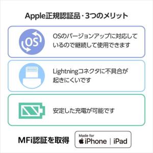 代引不可 USB-C - Lightning ...の詳細画像3