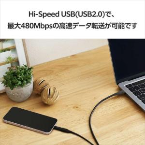 代引不可 USB-C - Lightning ...の詳細画像5
