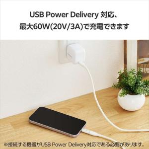 代引不可 USB-C - Lightning ...の詳細画像4