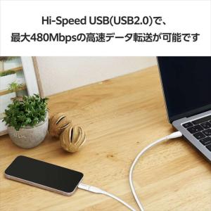 代引不可 USB-C - Lightning ...の詳細画像5