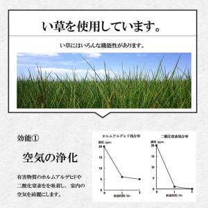 代引不可 い草 寄りかかり クッション 約60...の詳細画像3