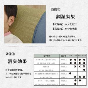 代引不可 い草 寄りかかり クッション 約60...の詳細画像4