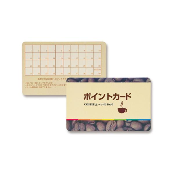 即日出荷 代引不可 レーザープリンタ 用 プラスチックカード サンワサプライ LBP-ID01