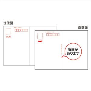 SANWA SUPPLY（サンワサプライ） インクジェット往復はがき つやなし