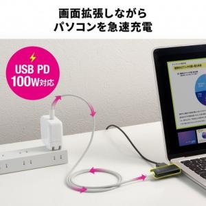 即日出荷 代引不可 ワイヤレスプレゼンター(2...の詳細画像5