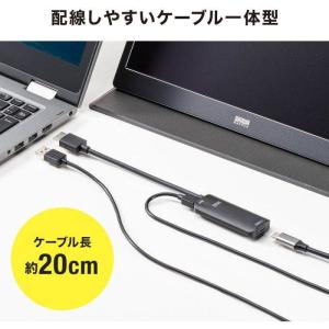 即日出荷 代引不可 HDMI-Type-C D...の詳細画像4