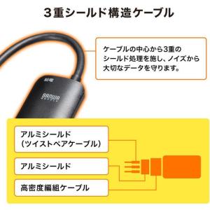 即日出荷 代引不可 HDMI-Type-C D...の詳細画像5