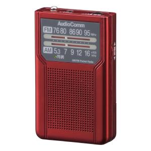 ポケットラジオ アナログPVC内蔵で電池長持ち154時間 2WAY出力 モノラル受信 ワイドFM 片...