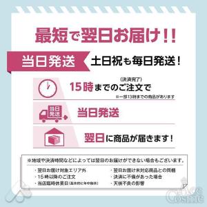『翌日発送』 国内正規品 アルマダ エグータム...の詳細画像3