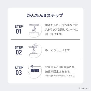 ドリテック 公式 ラゲッジスケール 飛行機 空...の詳細画像4