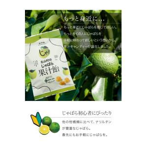 ゆうパケット送料無料 1袋 じゃばら果汁飴 1...の詳細画像2