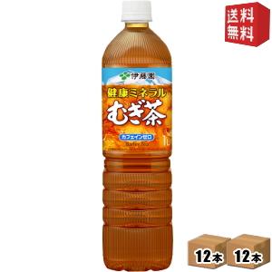 スリムボトル 送料無料 伊藤園 健康ミネラルむぎ茶 1Lペットボトル 24本 (12本×2ケース) ミネラル麦茶｜drink-cvs