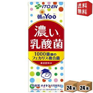 伊藤園 朝のYoo 濃い 乳酸菌 紙パック ( 200ml×24本 ) : 爽快ドリンク