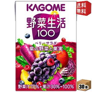 FRUITS SELECTION フルーツジュース フルーツミックス フルーツ