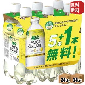 送料無料 キリン メッツ プラス レモンスカッシュ 480mlペットボトル 48本[(6本パック×4セット)×2ケース] [機能性表示食品 難消化性デキストリン]｜drink-cvs
