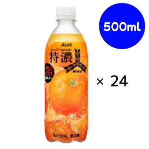 三ツ矢 アサヒ 特濃アップルスカッシュ 500ml ペットボトル 24本入