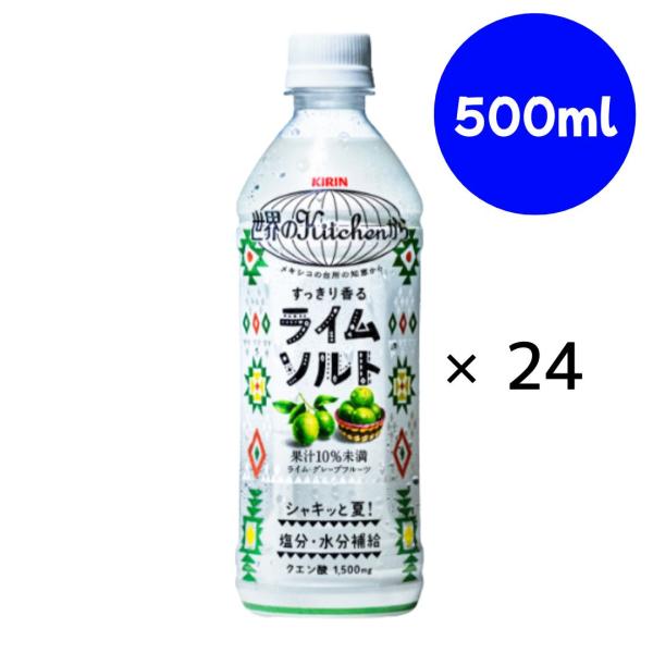 ライムソルト PET 500ml×24本 【賞味期限2026/01/31】世界のKitchen