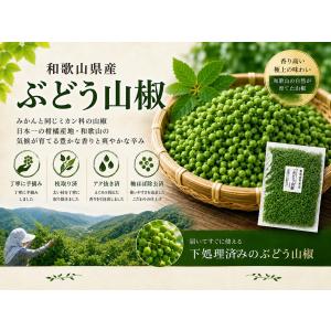 山椒 山椒の実 実山椒 300g 冷凍 令和8...の詳細画像1