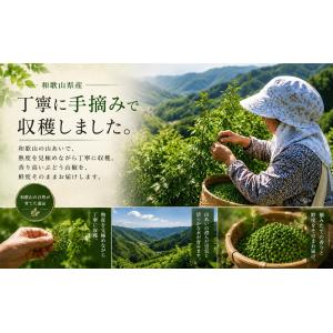 山椒 山椒の実 実山椒 300g 冷凍 令和8...の詳細画像2