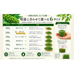 山椒 山椒の実 実山椒 300g 冷凍 令和8...の詳細画像5