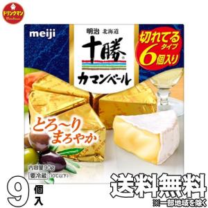 カマンベール 明治北海道十勝 チーズ カマンベール 明治 北海道 十勝 切れてるタイプ