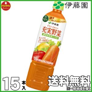 ペットボトル 野菜ジュース 伊藤園 充実野菜 緑黄色野菜ミックス 740g×15本｜drinkman