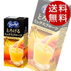 アサヒ バヤリース とろけるミックスフルーツ 250ml×48本 『送料無料』※北海道・沖縄・離島を除く