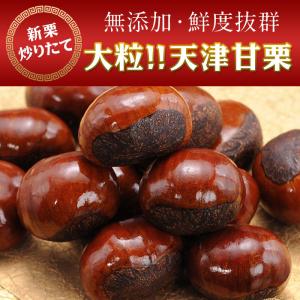 新栗 無添加 大粒 天津甘栗×約500g 賞味期限：製造より7日