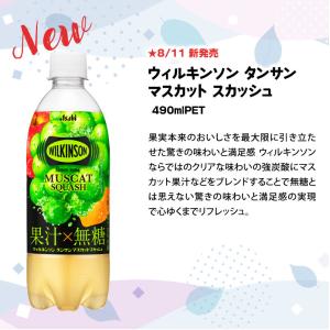 SALE アサヒ ウィルキンソン タンサン 5...の詳細画像2