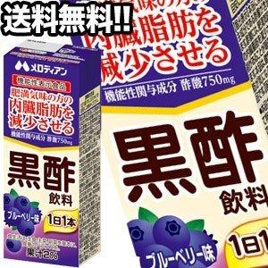 【5月24日出荷開始】メロディアン 黒酢飲料 ブルーベリー味 200ml紙パック×72本 24本×3箱 機能性表示食品 賞味期限：2ヶ月以上  送料無料｜drinkya