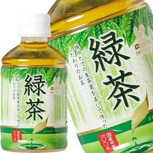 神戸居留地 緑茶 280ml PET × 48本 24本×2箱  賞味期限：3ヶ月以上  送料無料 【5月17日出荷開始】