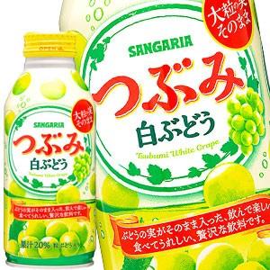 サンガリア つぶみ白ぶどう 380gボトル缶×48本 24本×2箱  賞味期限:4ヶ月以上 北海道、...