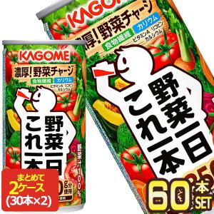 一日分の野菜 [▽200円OFFクーポン] 伊藤園 野菜ジュース 栄養強化型 1