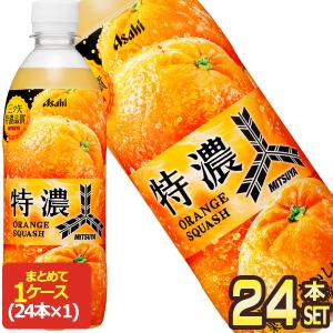 三ツ矢 アサヒ 特濃アップルスカッシュ 500ml ペットボトル 48本 (24本