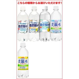サンガリア 伊賀の天然水 炭酸水 強炭酸水 5...の詳細画像1