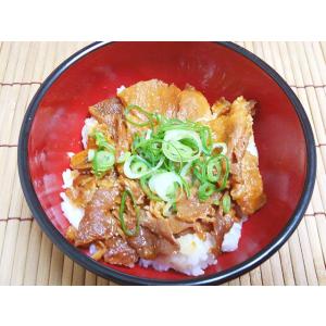 兼松新東亜食品) ピリ辛豚丼 1食 95g クール [冷凍] 便にてお届け 【業務用食品館 冷凍】｜drinkya