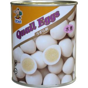 天狗)うずら卵 水煮缶(天狗)2号缶【チューボー用品館】｜drinkya