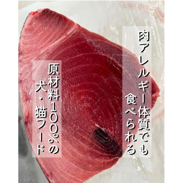 オリジナル猫用ウェットフード「ORUGAM」２５食入り