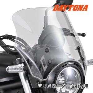 DAYTONA（デイトナ） 42156 スクリーン エリミネーター(24)専用