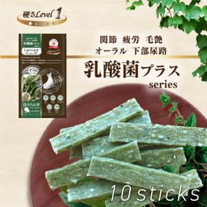 日本産 犬用おやつ いぬでんたる 乳酸菌プラス Premium100 クロロフィル ほうれん草10本入 国産/デンタルガム/リバードリパブリック