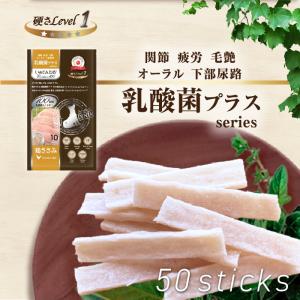 日本産 犬用おやつ いぬでんたる 乳酸菌プラス Premium100 鶏ささみ50本入国産 犬 ガム デンタルガム 牛皮 小型犬 シニア ソフト